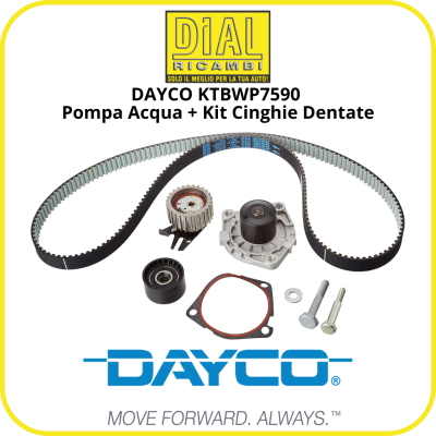 Kit distribuzione DAYCO...
